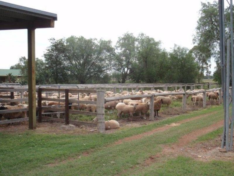 4144 Riverton Road, Tenterfield NSW 2372