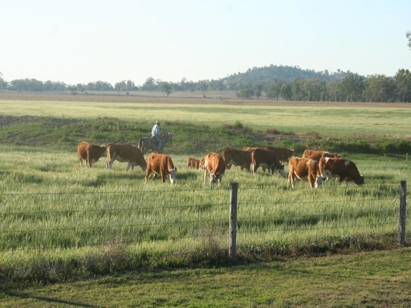 4144 Riverton Road, Tenterfield NSW 2372