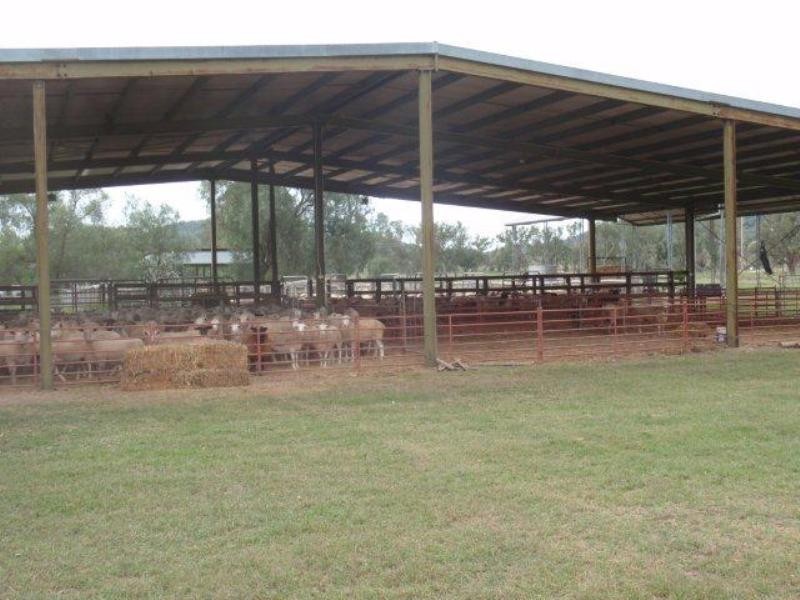 4144 Riverton Road, Tenterfield NSW 2372