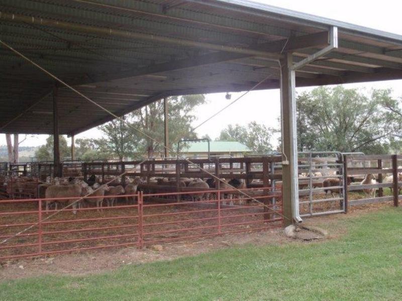 4144 Riverton Road, Tenterfield NSW 2372