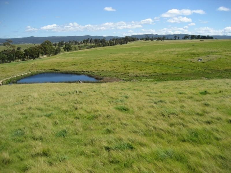 The Nutshell Nutshell Road, Tenterfield NSW 2372