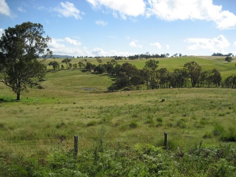 The Nutshell Nutshell Road, Tenterfield NSW 2372