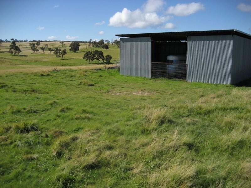 The Nutshell Nutshell Road, Tenterfield NSW 2372