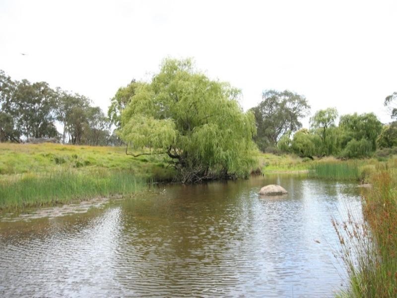 Lots 8 13  43 New England HigHighway, Tenterfield NSW 2372