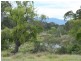 Lots 8 13  43 New England HigHighway, Tenterfield NSW 2372