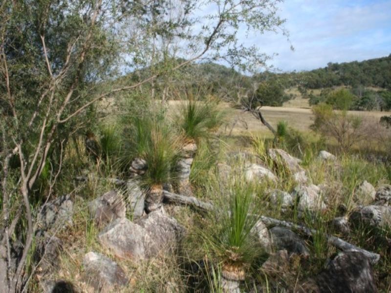 Lot 2 Woodside Road, Tenterfield NSW 2372