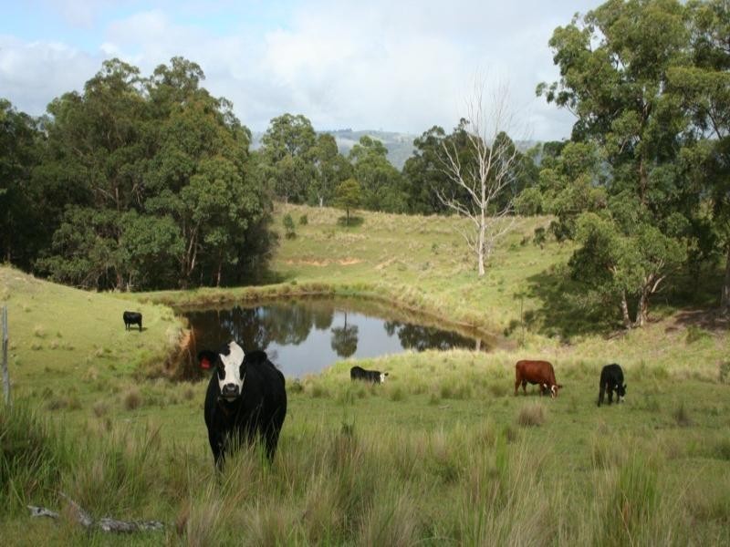 “Timbarra” Timbarra Road, Tenterfield NSW 2372