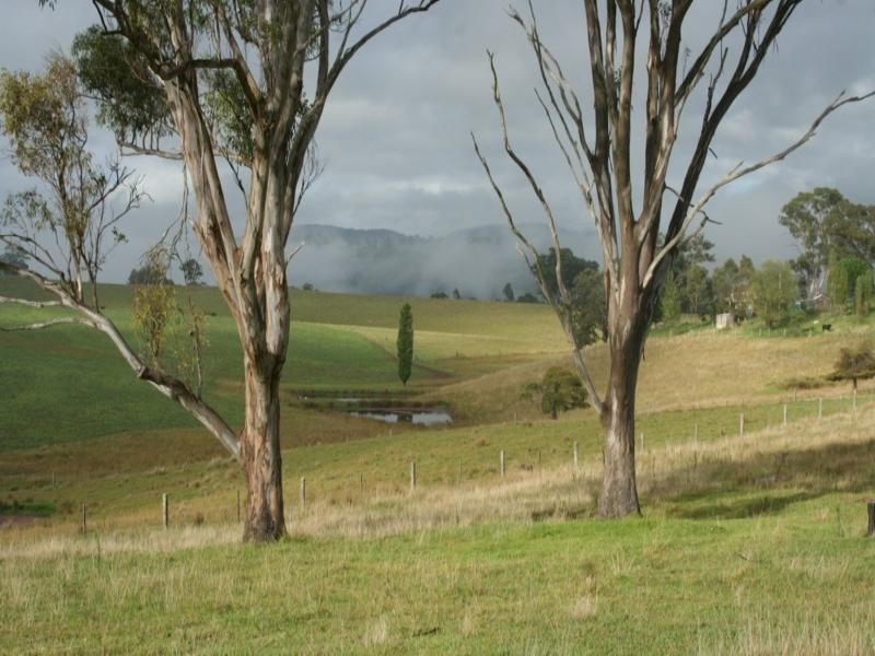 “Timbarra” Timbarra Road, Tenterfield NSW 2372