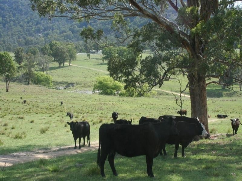 “Laurellyn” Currs Road, Tenterfield NSW 2372