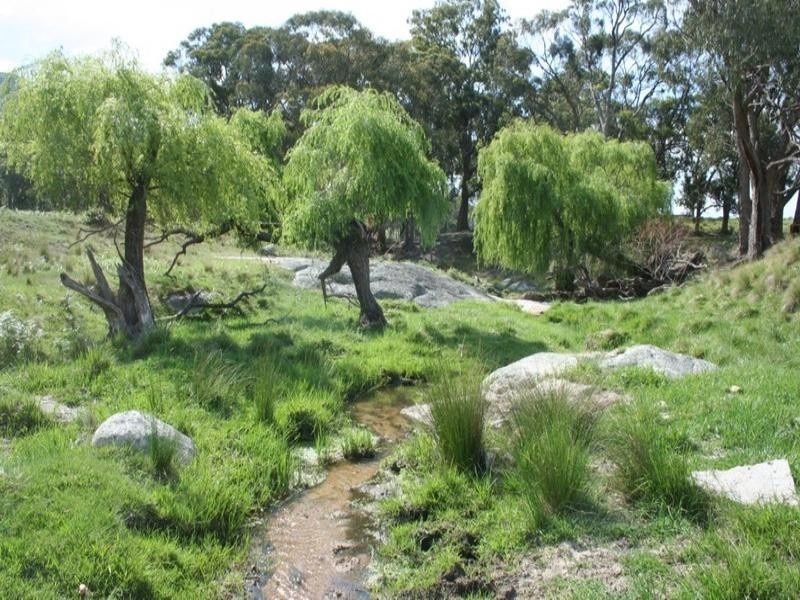 “Laurellyn” Currs Road, Tenterfield NSW 2372