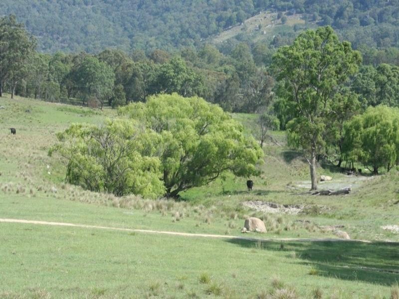“Laurellyn” Currs Road, Tenterfield NSW 2372