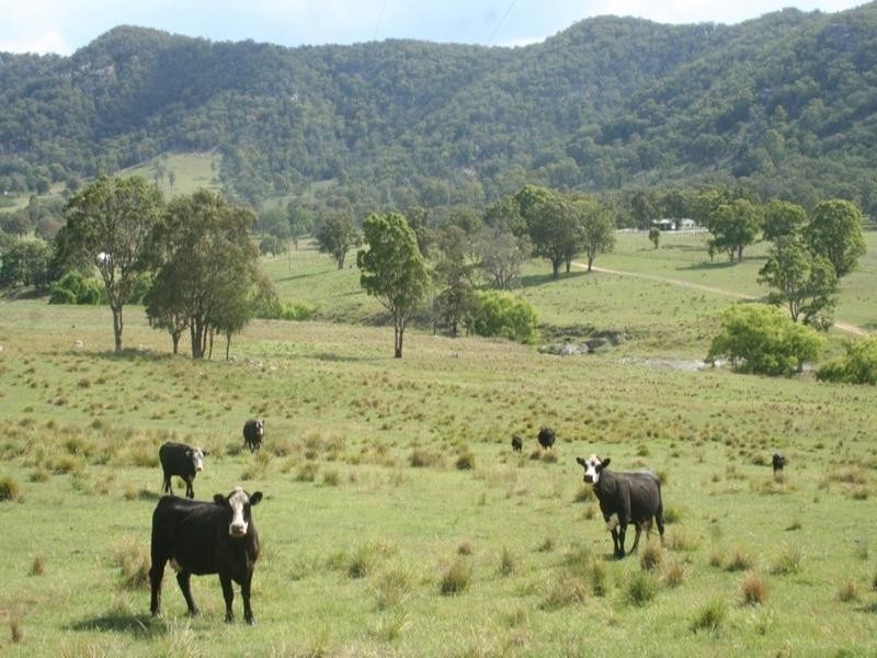 “Laurellyn” Currs Road, Tenterfield NSW 2372