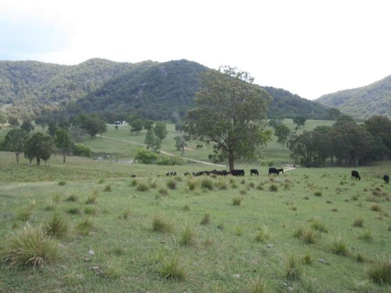 “Laurellyn” Currs Road, Tenterfield NSW 2372