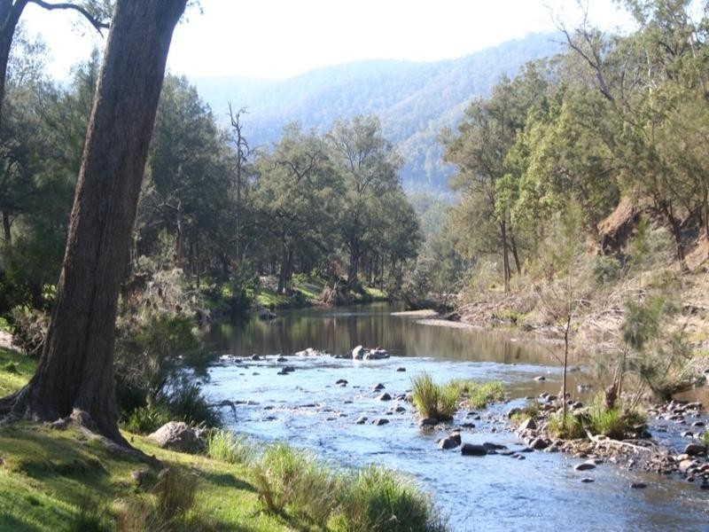 Grasstree Upper Rocky River Road, Tenterfield NSW 2372