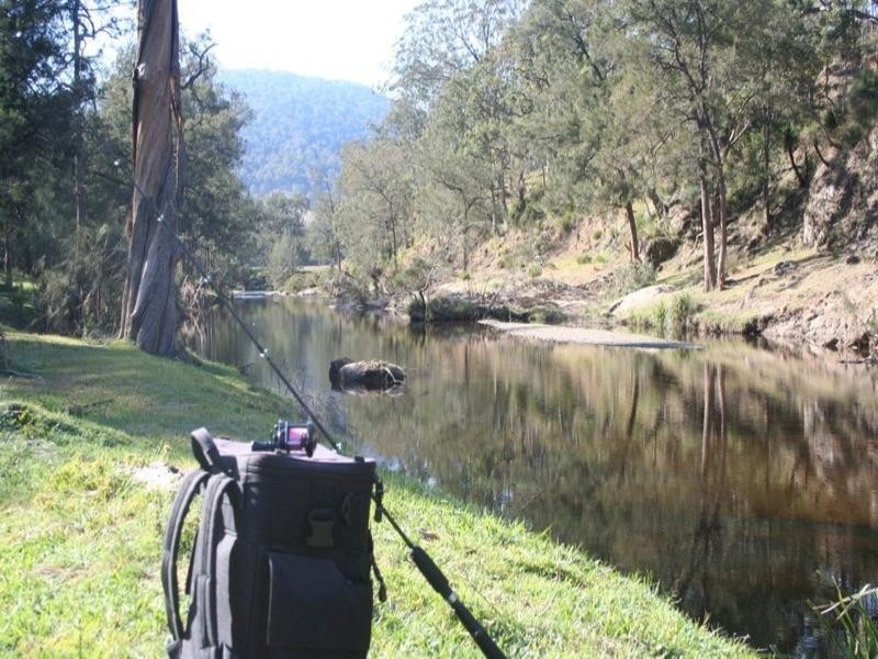 Grasstree Upper Rocky River Road, Tenterfield NSW 2372