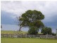Benbraggie Dulhuntys Road, Deepwater NSW 2371