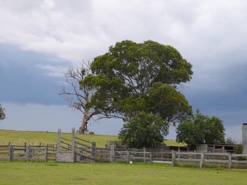 Benbraggie Dulhuntys Road, Deepwater NSW 2371