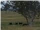 Benbraggie Dulhuntys Road, Deepwater NSW 2371