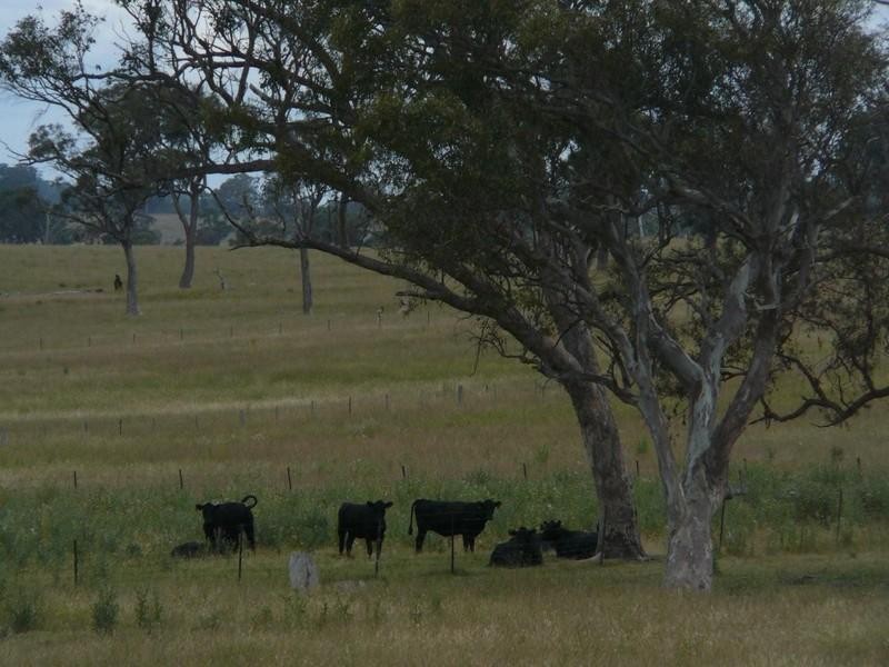 Benbraggie Dulhuntys Road, Deepwater NSW 2371