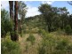 Park Retreat Mt Lindesay Road, Tenterfield NSW 2372