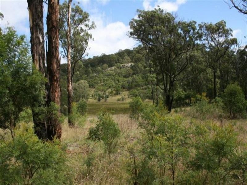 Park Retreat Mt Lindesay Road, Tenterfield NSW 2372