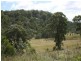 Park Retreat Mt Lindesay Road, Tenterfield NSW 2372