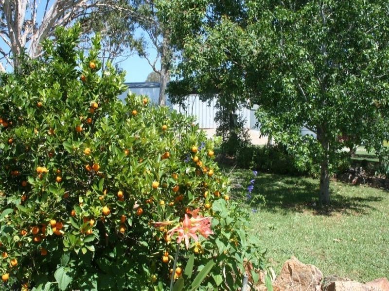 “Glynvista” Bonshaw-Riverton Road, Tenterfield NSW 2372