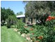 “Glynvista” Bonshaw-Riverton Road, Tenterfield NSW 2372