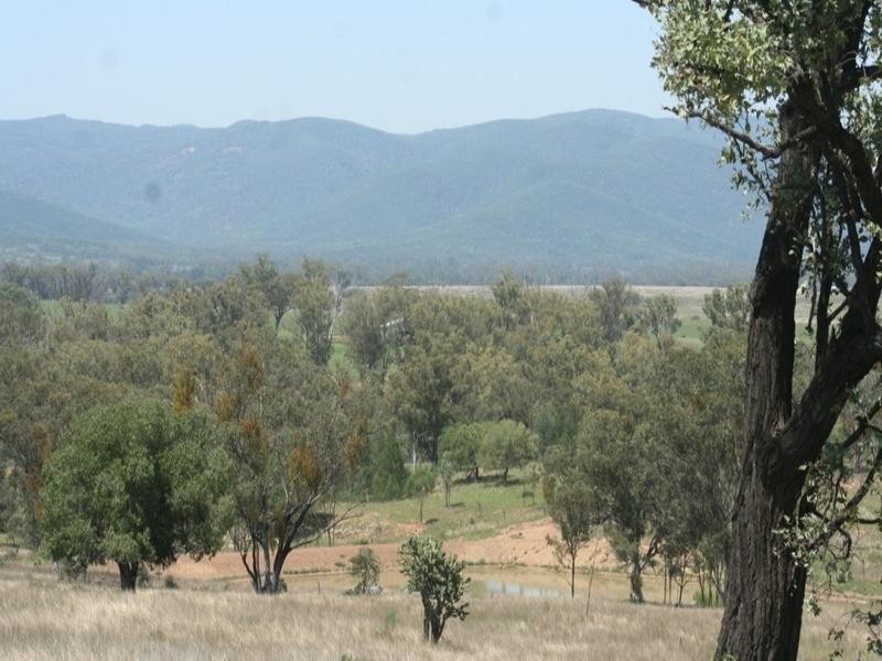 “Glynvista” Bonshaw-Riverton Road, Tenterfield NSW 2372