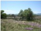 “Glynvista” Bonshaw-Riverton Road, Tenterfield NSW 2372