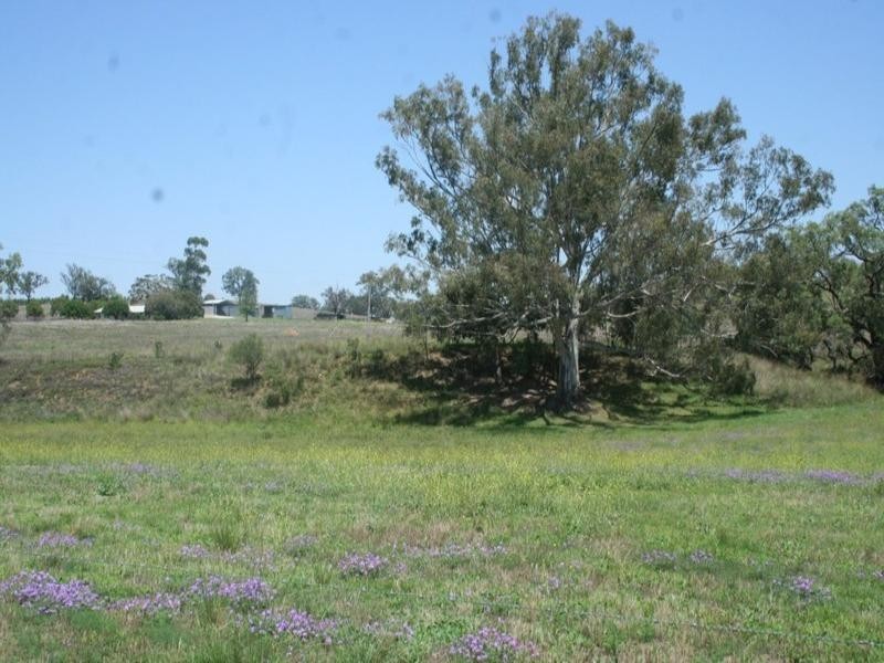 “Glynvista” Bonshaw-Riverton Road, Tenterfield NSW 2372