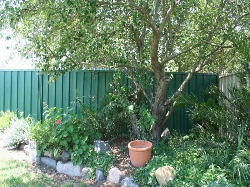 119 Wood Street, Tenterfield NSW 2372