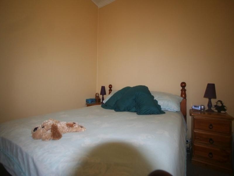 380 New England Highway, Tenterfield NSW 2372