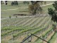 11812 Bruxner Highway, Tenterfield NSW 2372