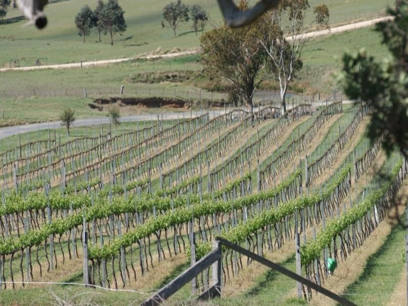 11812 Bruxner Highway, Tenterfield NSW 2372