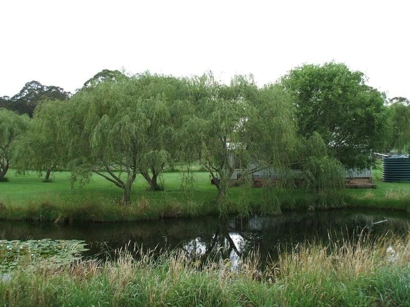 2797 Bates Road, Torrington NSW 2371