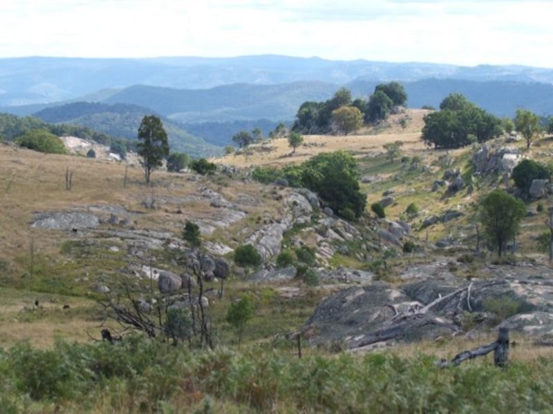 Bald Rock Kildare Road, Tenterfield NSW 2372