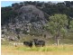 Bald Rock Kildare Road, Tenterfield NSW 2372