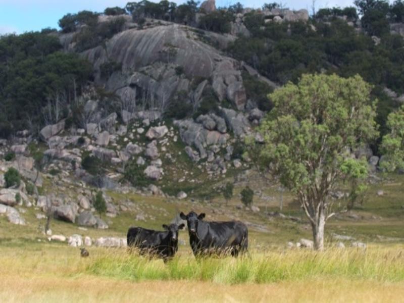 Bald Rock Kildare Road, Tenterfield NSW 2372