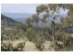 Lot 3 Woodside Road, Tenterfield NSW 2372