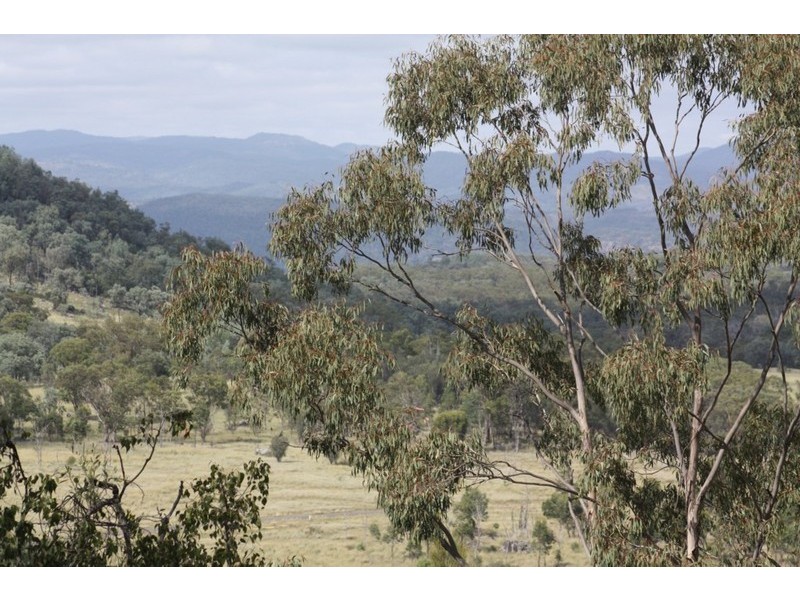 Lot 3 Woodside Road, Tenterfield NSW 2372
