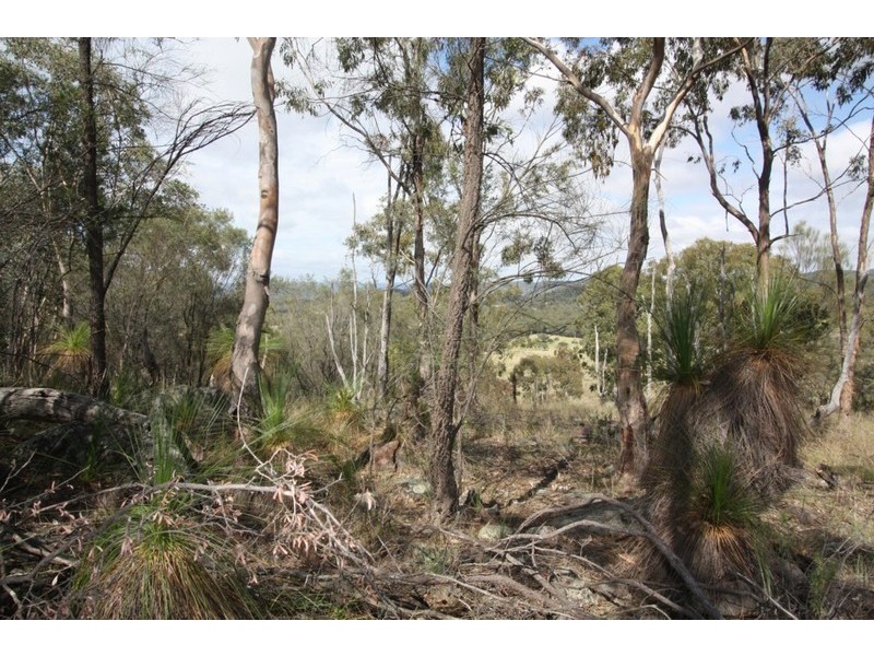 Lot 3 Woodside Road, Tenterfield NSW 2372