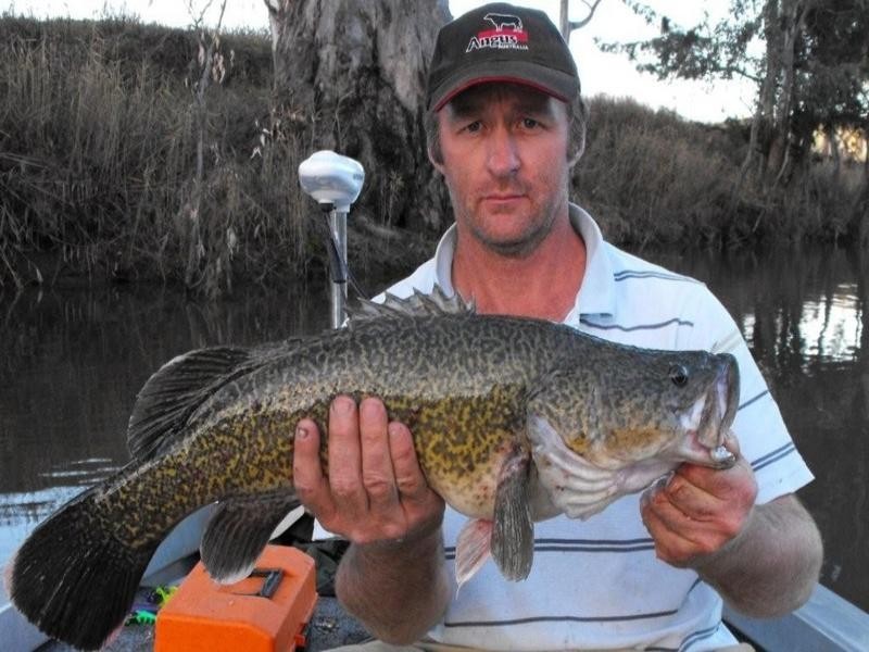 Maidenhead 4674 Riverton Road, Tenterfield NSW 2372