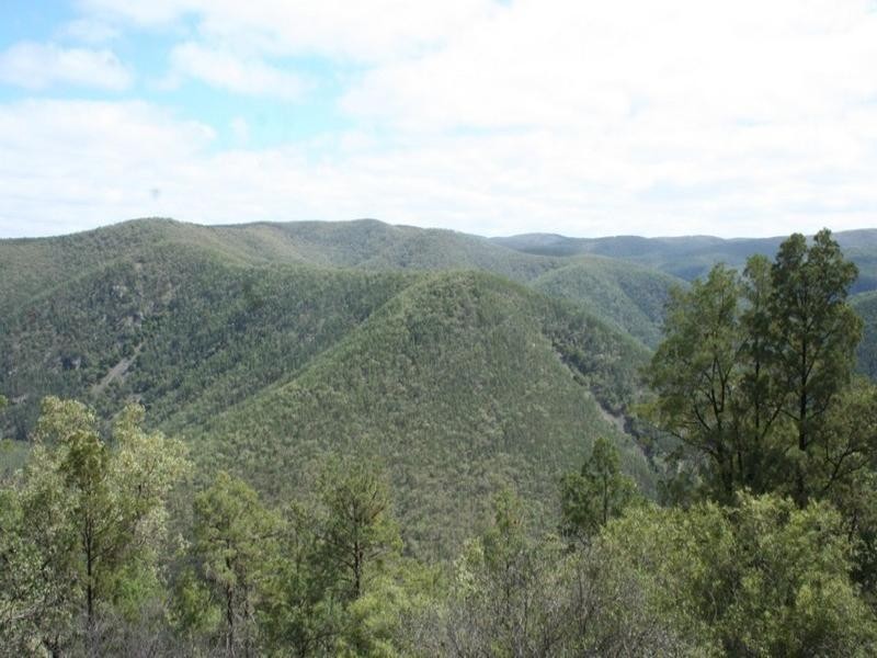 . Mountain Creek Road, Tenterfield NSW 2372