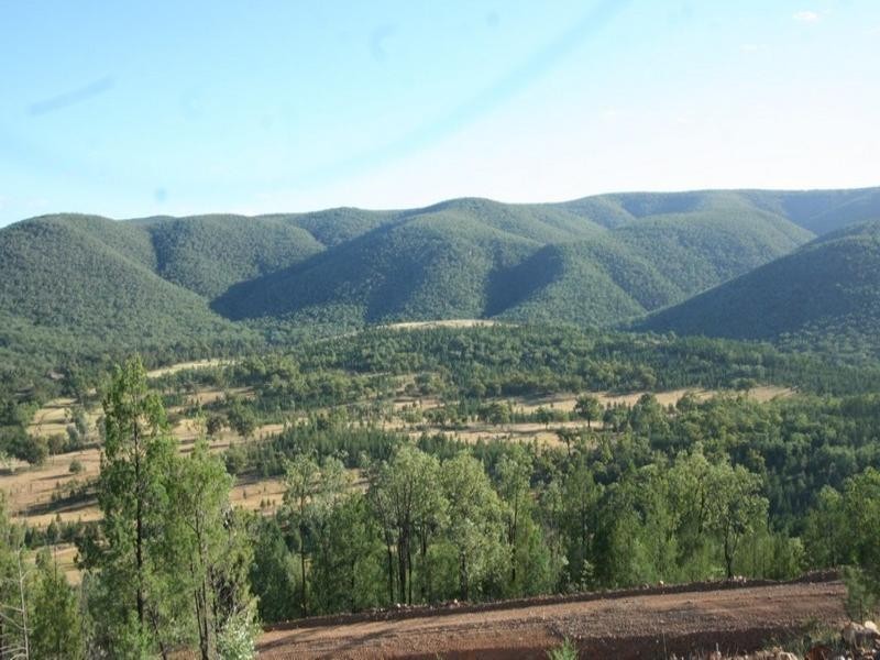. Mountain Creek Road, Tenterfield NSW 2372