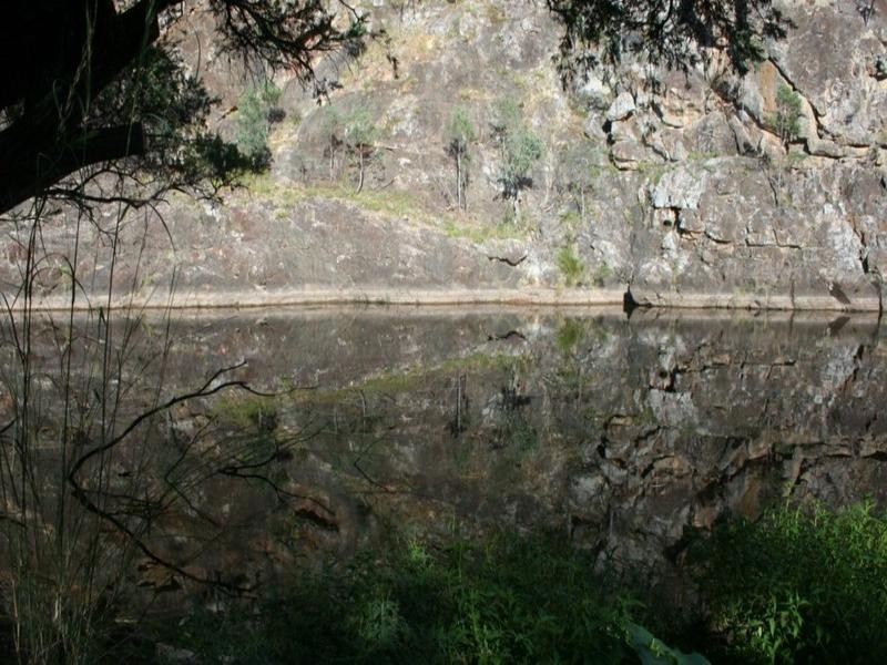 . Mountain Creek Road, Tenterfield NSW 2372