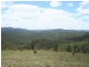 . Mountain Creek Road, Tenterfield NSW 2372