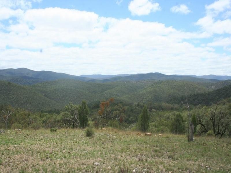 . Mountain Creek Road, Tenterfield NSW 2372