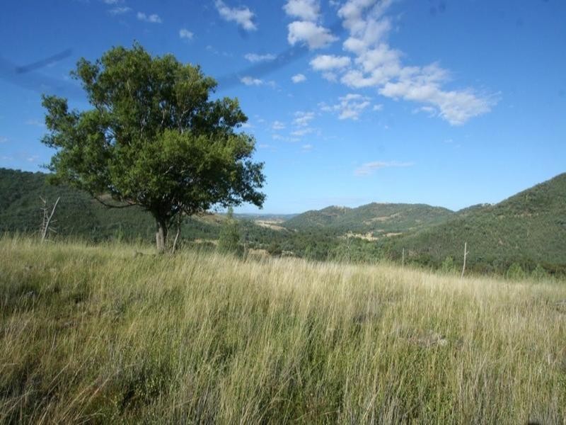 . Mountain Creek Road, Tenterfield NSW 2372