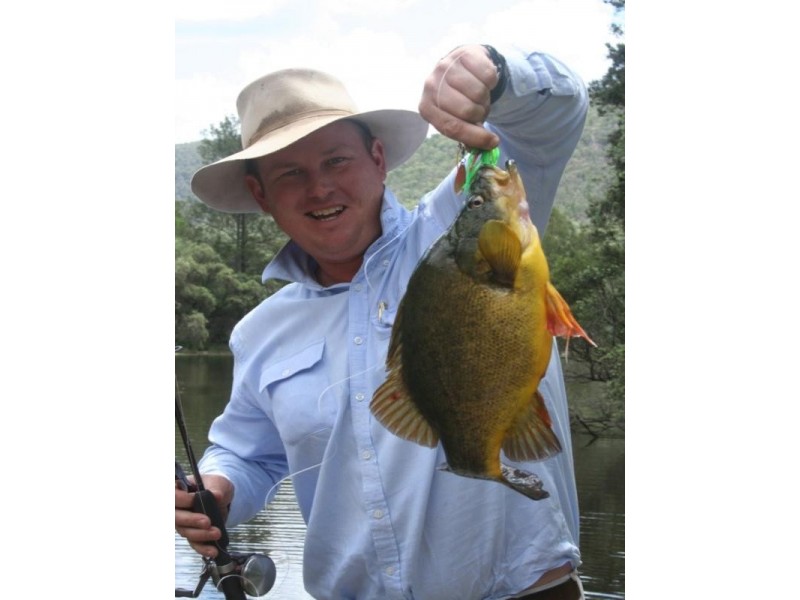 . Mountain Creek Road, Tenterfield NSW 2372